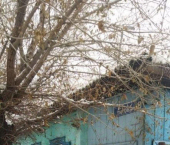 коттедж 46 кв м ул Чульдума, 18