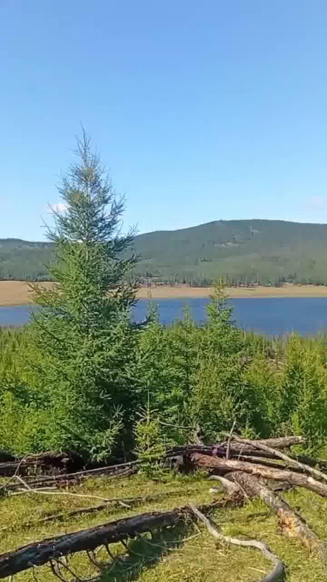 Купить землю, земельный участок за 100 000 000 рублей на Бай-Даг местечко