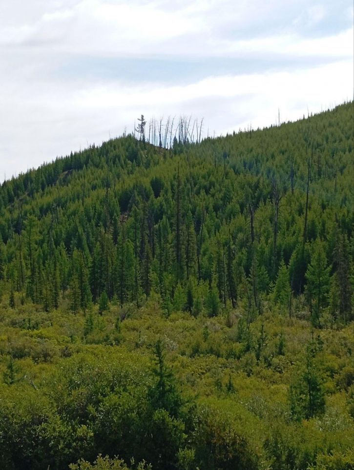 Земельный участок Бай-Даг местечко
