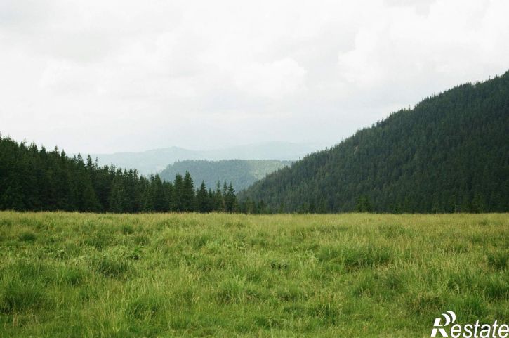 Земельный участок Шагонар